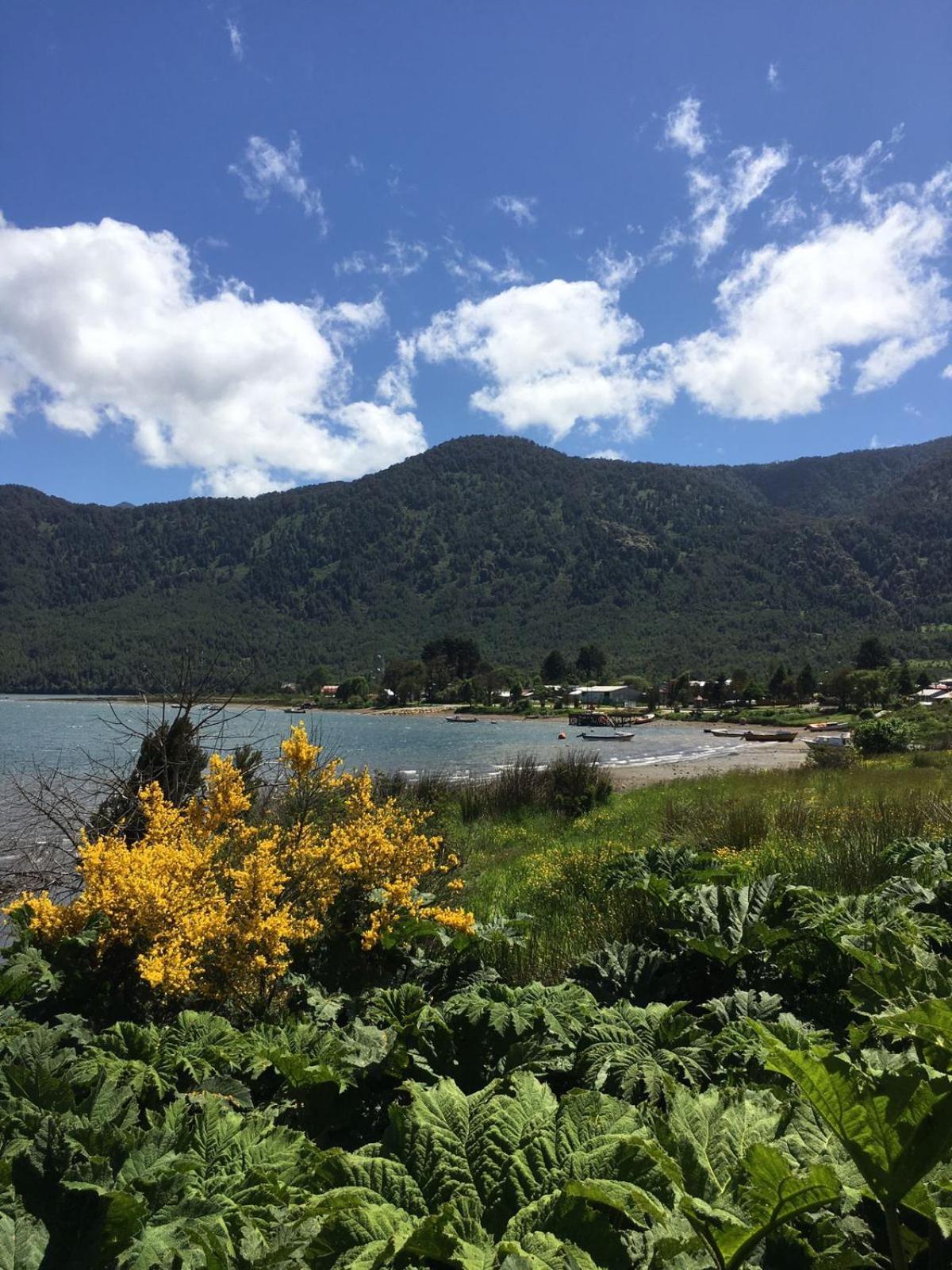 Cabanas Ruepue Puyuhuapi Exteriér fotografie